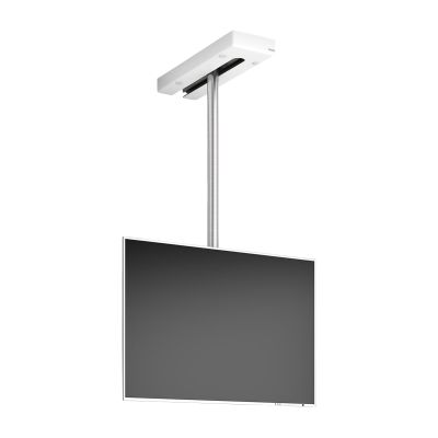 TV-mount ceiling art116